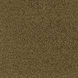 Tapijt Desso Bouquette 9521 Tapijt Desso Bouquette 9521