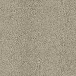 Tapijt Desso Bouquette 9965