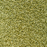 Tapijt Interfloor Essenza 432 Tapijt Interfloor Essenza 432