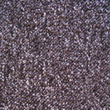 Tapijt Interfloor Mercurius Project 351 Tapijt Interfloor Mercurius Project 351