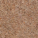 Tapijt Nouwens-Bogaers Wooltwist 4718