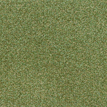 Tapijt Parade Trento Jade 220