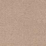 Tapijt Belakos Souplesse 36 Tapijt Belakos Souplesse 36