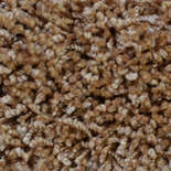 (Uitgelopen) Tapijt Yunieq Looking 0489 Toffee (Uitgelopen) Tapijt Yunieq Looking 0489 Toffee